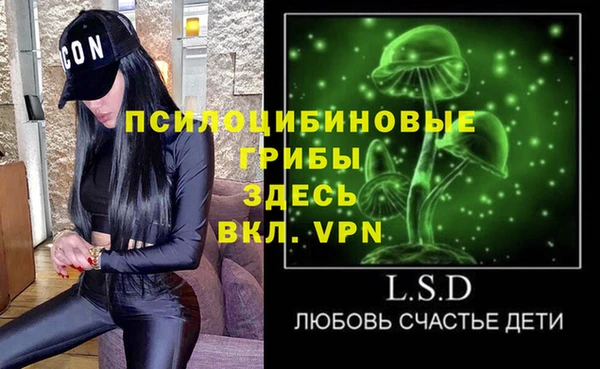 apvp Аркадак