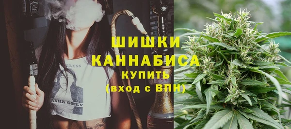 apvp Аркадак